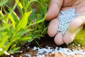 53 doanh nghiệp cung cấp phân bón kém chất lượng bị xử phạt