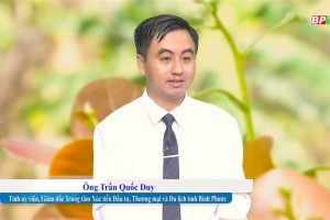 Bình Phước tìm giải pháp để hạt điều vươn ra biển lớn