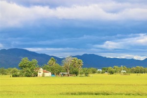 THỎA THUẬN ĐẶT CỌC TIỀN GIỮ CHỖ MUA BẤT ĐỘNG SẢN CÓ TRÁI PHÁP LUẬT KHÔNG?