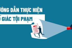 Có được ủy quyền tố cáo, tố giác tội phạm không?