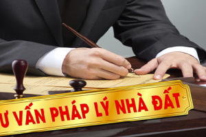 Một số  trường hợp bị cấm mua, nhận tặng cho đất đai
